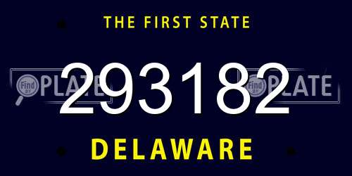 293182 Delaware License Plate
