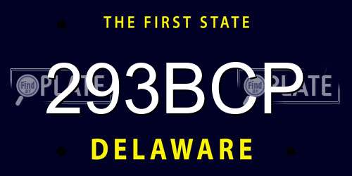 293BCP Delaware License Plate