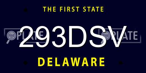 293DSV Delaware License Plate