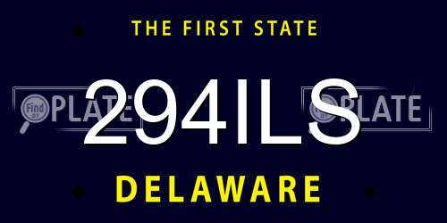 294ILS Delaware License Plate