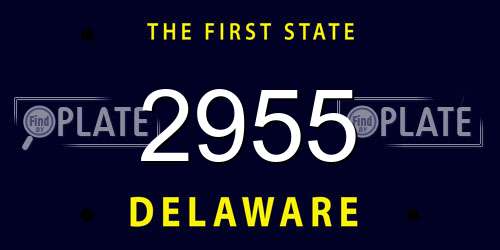 2955 Delaware License Plate