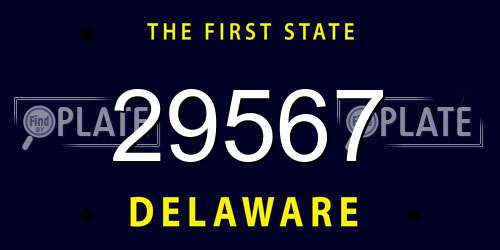 29567 Delaware License Plate