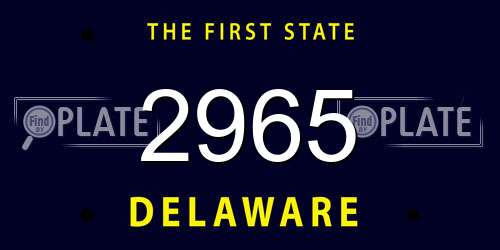2965 Delaware License Plate