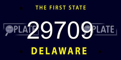29709 Delaware License Plate