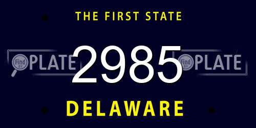 2985 Delaware License Plate