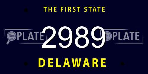 2989 Delaware License Plate