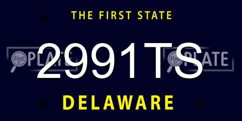 2991TS Delaware License Plate