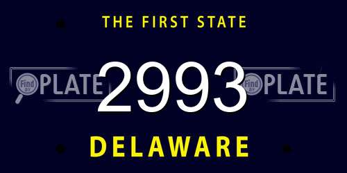2993 Delaware License Plate