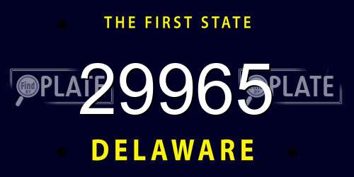 29965 Delaware License Plate