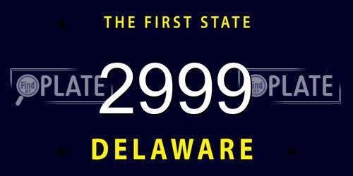 2999 Delaware License Plate