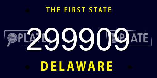 299909 Delaware License Plate