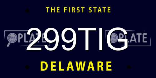 299TIG Delaware License Plate