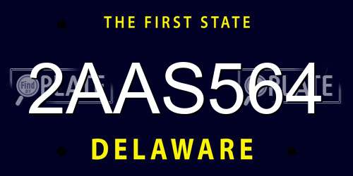2AAS564 Delaware License Plate
