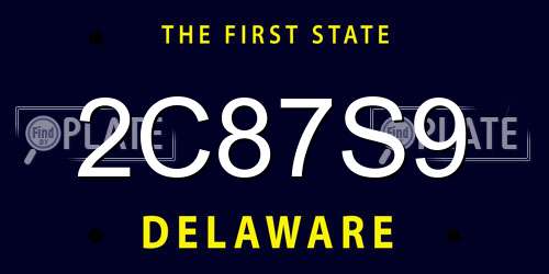 2C87S9 Delaware License Plate