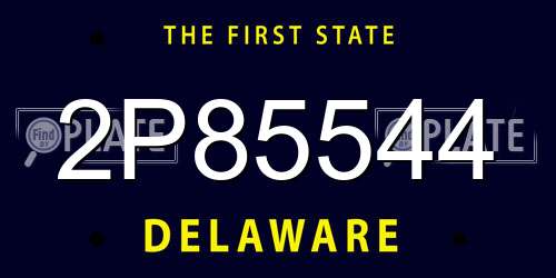 2P85544 Delaware License Plate