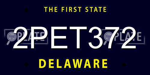 2PET372 Delaware License Plate