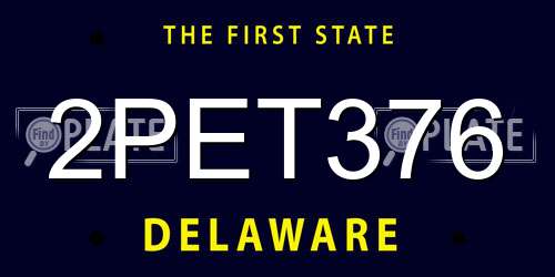 2PET376 Delaware License Plate