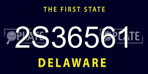 2S36561 Delaware License Plate