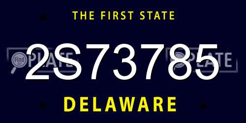 2S73785 Delaware License Plate
