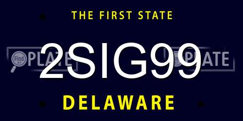 2SIG99 Delaware License Plate