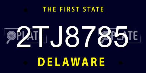 2TJ8785 Delaware License Plate