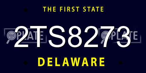 2TS8273 Delaware License Plate