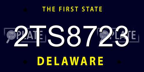 2TS8723 Delaware License Plate