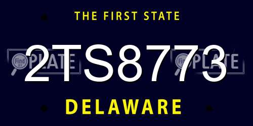 2TS8773 Delaware License Plate