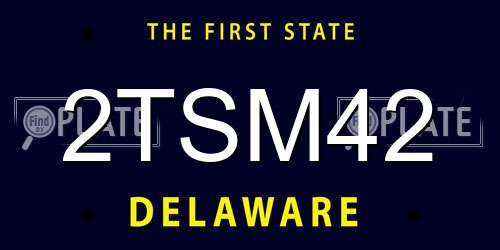 2TSM42 Delaware License Plate