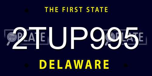 2TUP995 Delaware License Plate