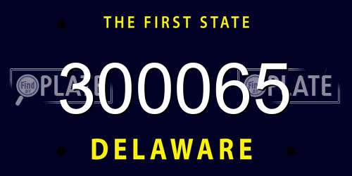 300065 Delaware License Plate