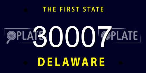 30007 Delaware License Plate