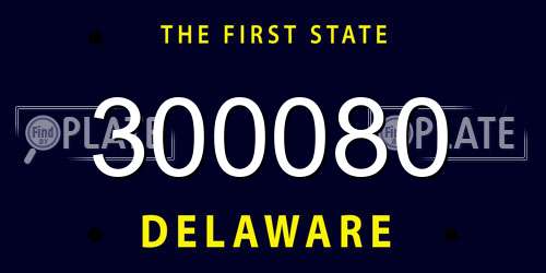 300080 Delaware License Plate