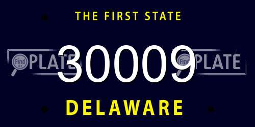 30009 Delaware License Plate