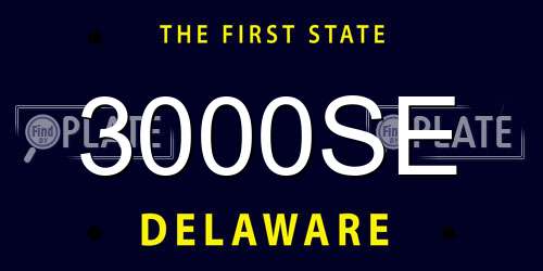 3000SE Delaware License Plate