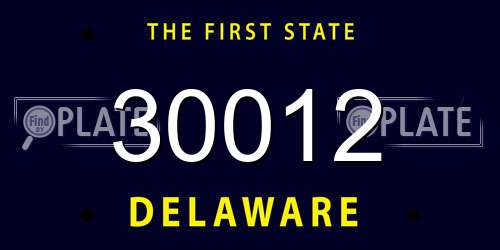 30012 Delaware License Plate