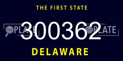 300362 Delaware License Plate