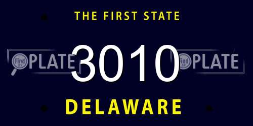 3010 Delaware License Plate