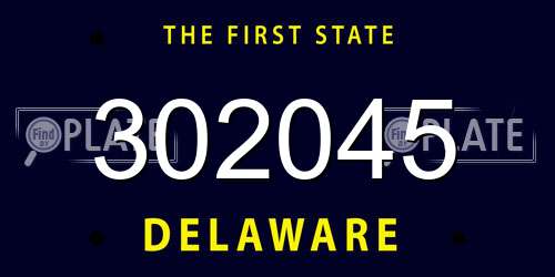302045 Delaware License Plate