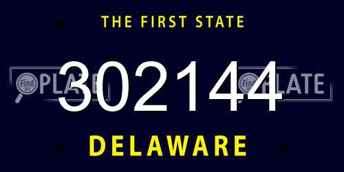 302144 Delaware License Plate