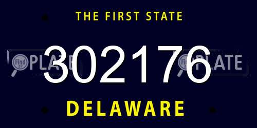 302176 Delaware License Plate