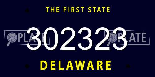 302323 Delaware License Plate