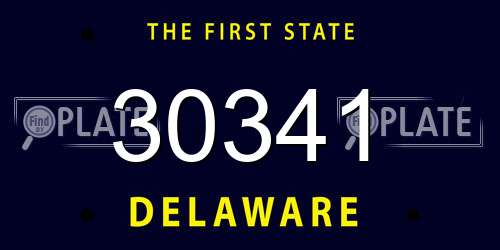 30341 Delaware License Plate