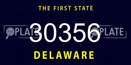 30356 Delaware License Plate