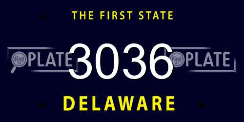 3036 Delaware License Plate
