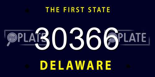 30366 Delaware License Plate