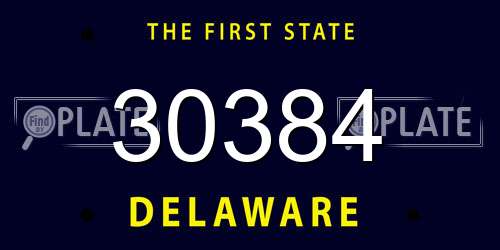 30384 Delaware License Plate