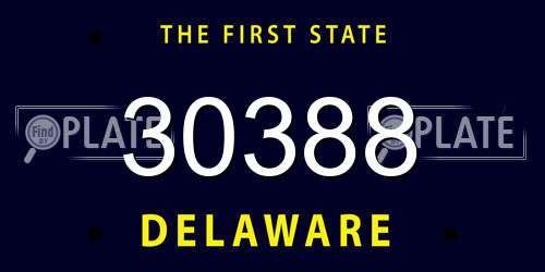 30388 Delaware License Plate