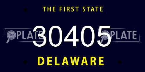 30405 Delaware License Plate