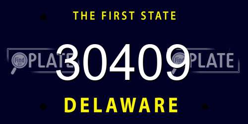 30409 Delaware License Plate